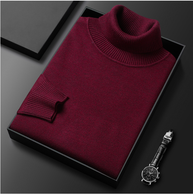 Renan | Jersey casual de cuello alto para hombre primavera