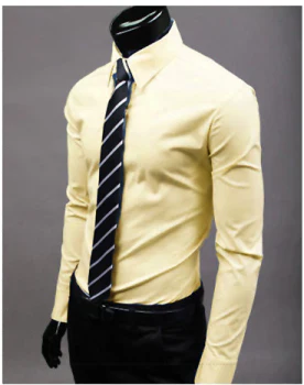 William | Camisa elegante de manga larga para hombre